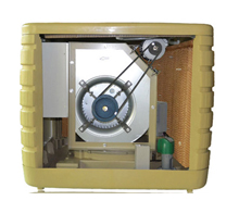 Centrifugal air cooler