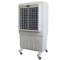 Portable air cooler
